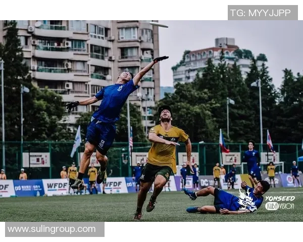 飞盘深度解析:上海飞盘队如何实现战术转换与团队协作