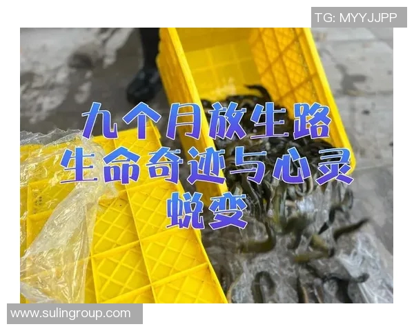 陈敏专访:从街头到舞台的蜕变与坚持之路回顾